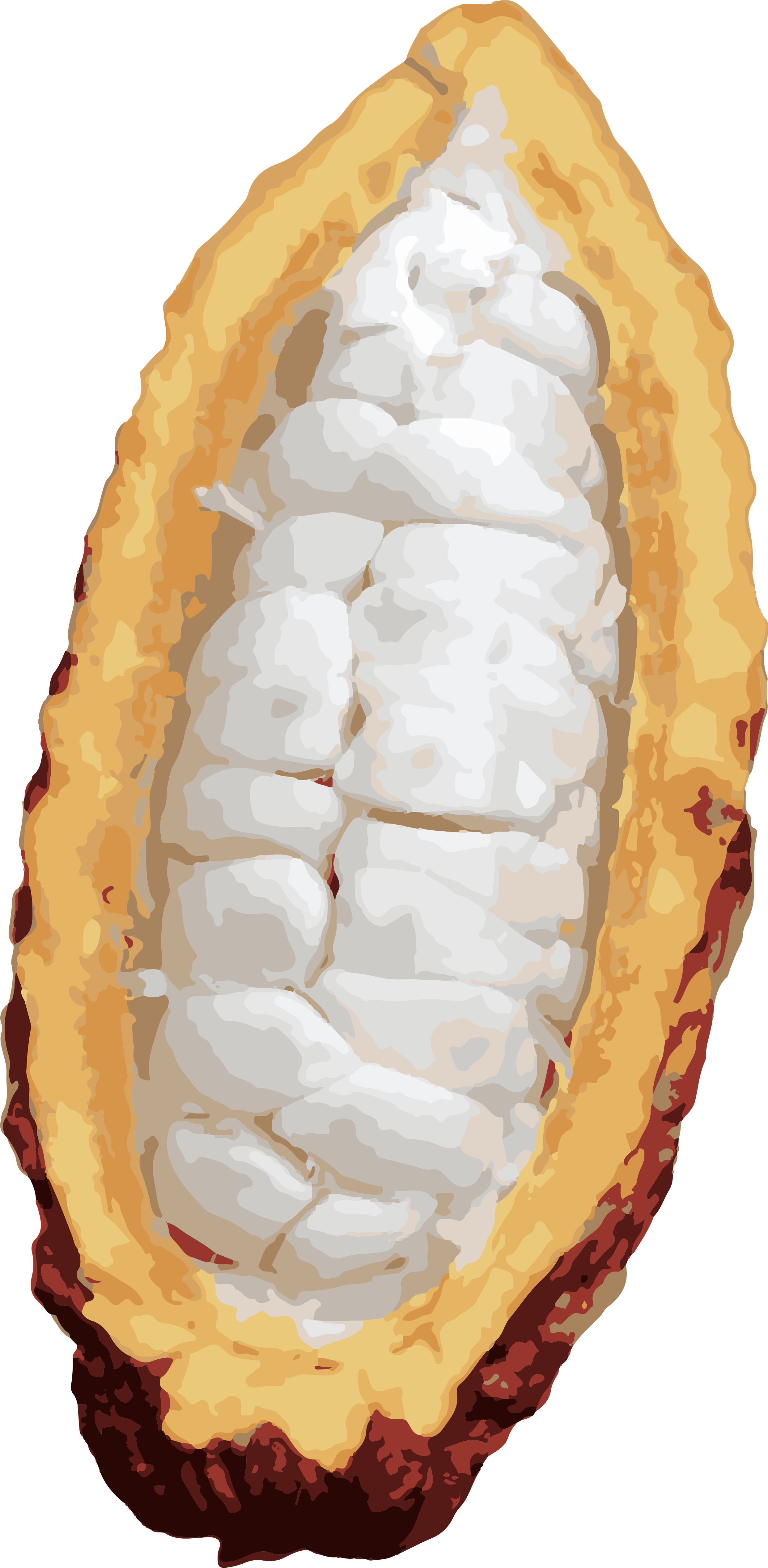 Cacao Husk