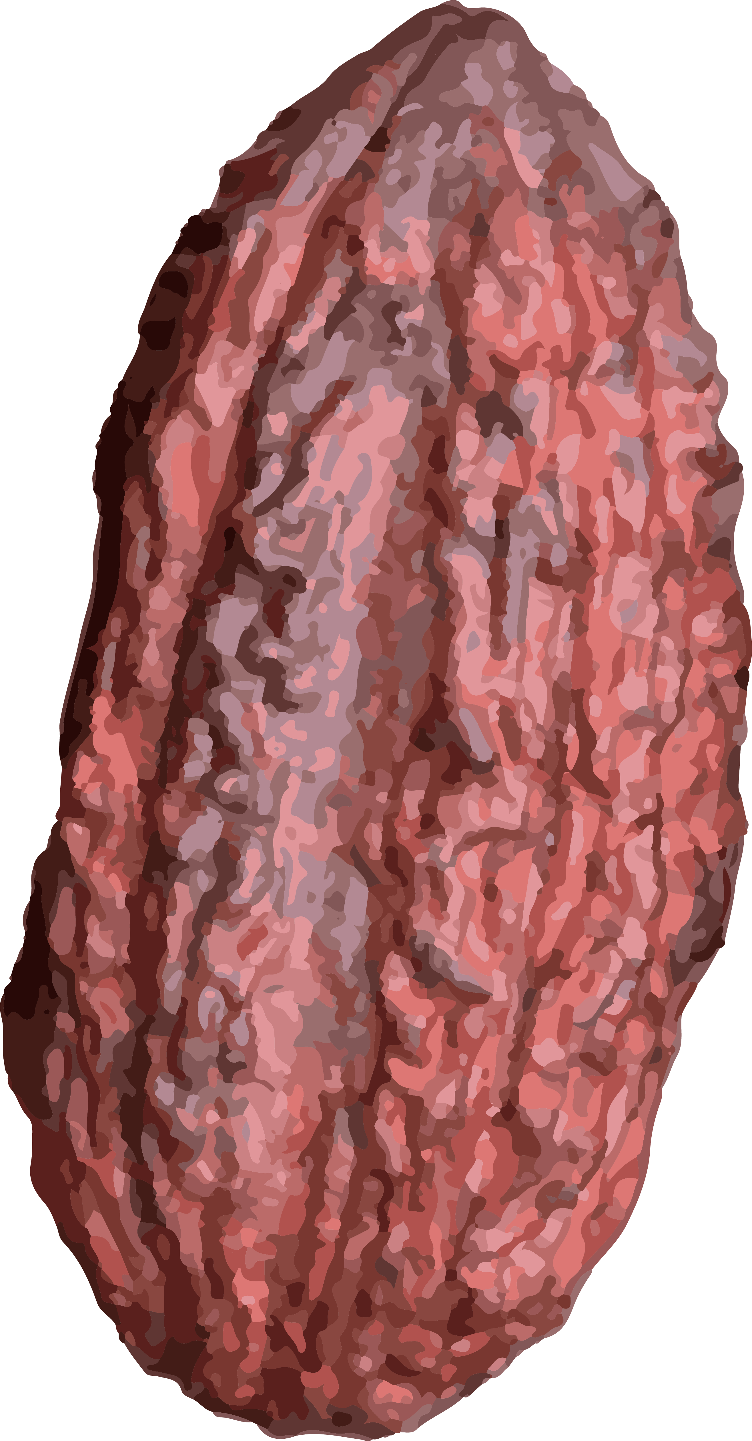 Cacao Pod